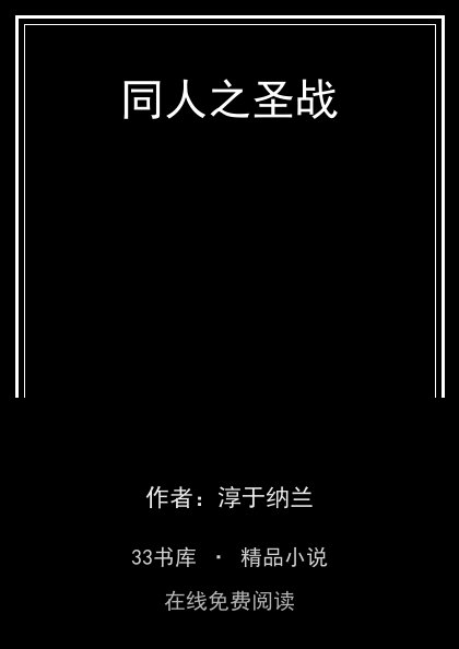 同人之圣战封面