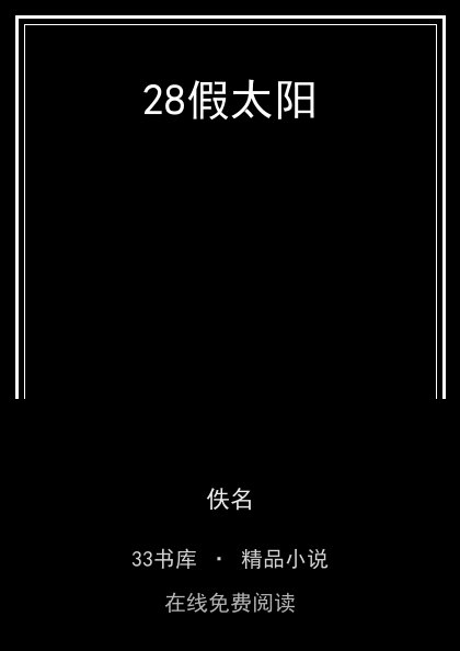 28假太阳封面