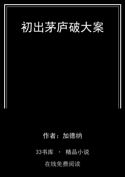 初出茅庐破大案封面