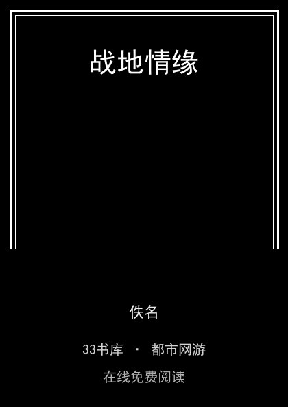 战地情缘封面