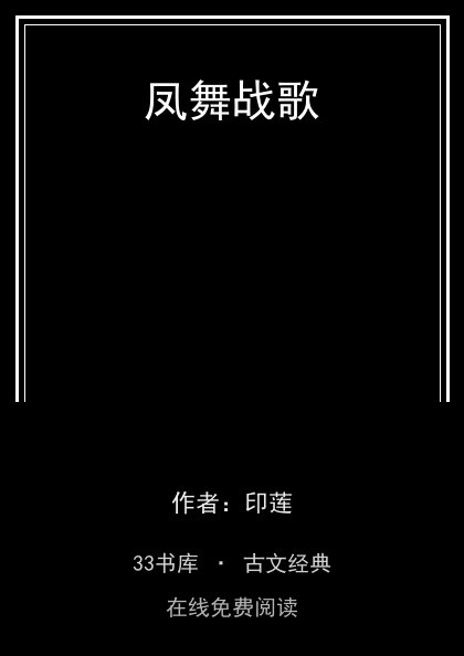凤舞战歌封面