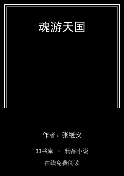 魂游天国 封面