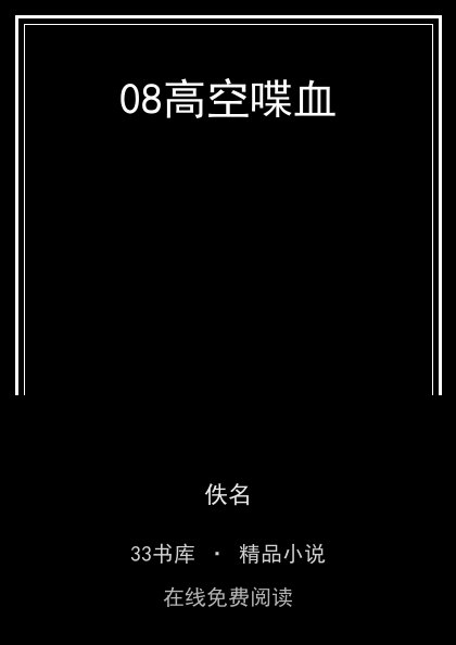 08高空喋血封面