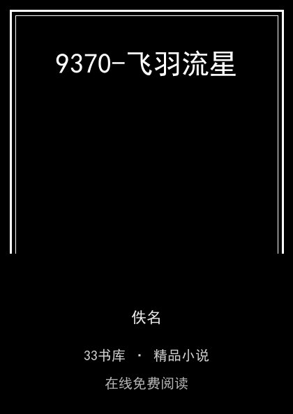 9370-飞羽流星封面