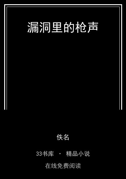 漏洞里的枪声封面