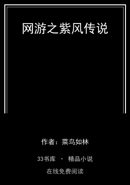 网游之紫风传说 封面