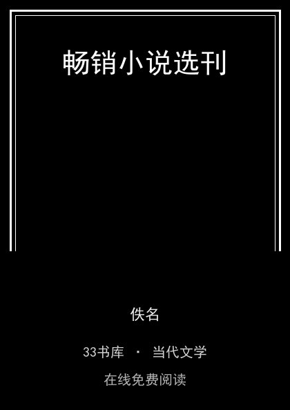 畅销小说选刊封面