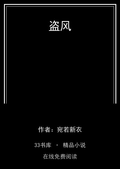 盗风封面