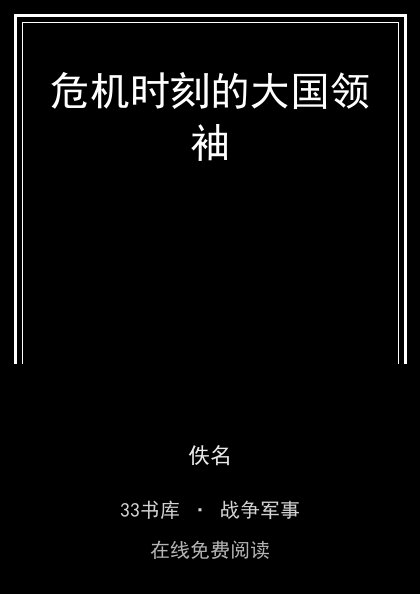 危机时刻的大国领袖 封面
