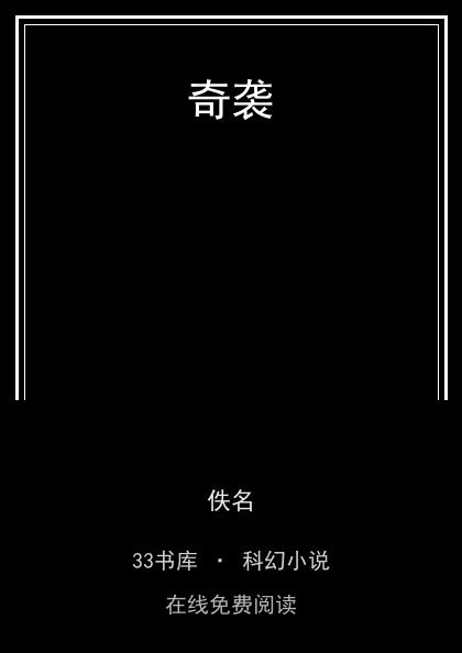 奇袭封面