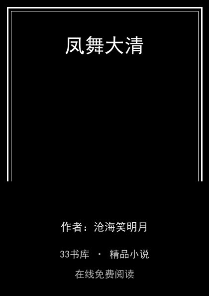 凤舞大清 封面