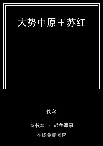 大势中原王苏红封面