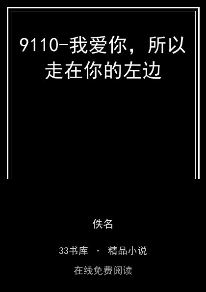 9110-我爱你，所以走在你的左边封面