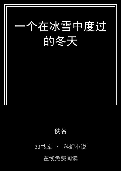 一个在冰雪中度过的冬天封面
