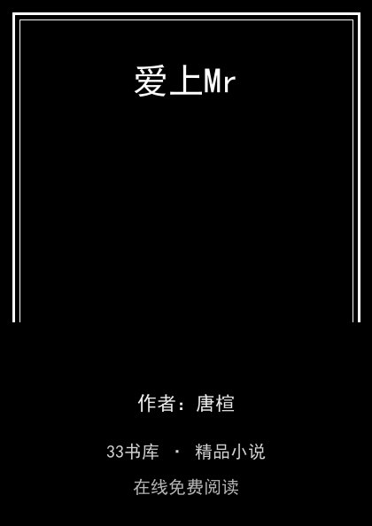 爱上Mr封面