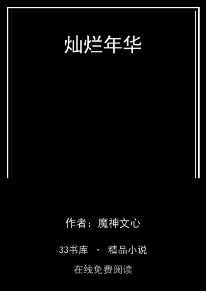 灿烂年华 封面