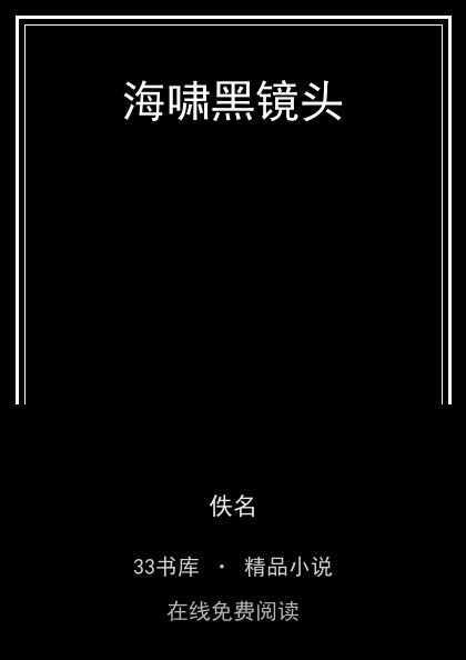 海啸黑镜头 封面