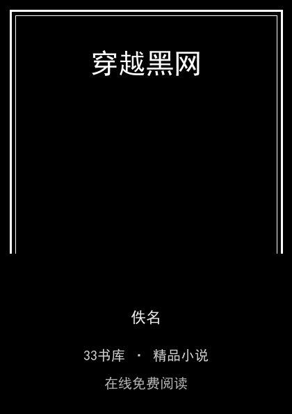 穿越黑网封面