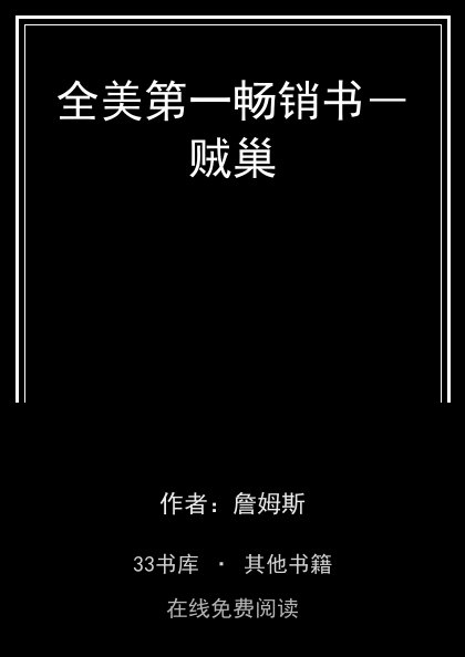 全美第一畅销书―贼巢 封面