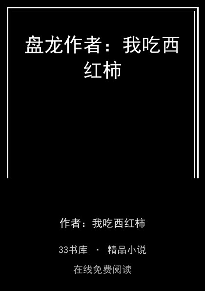 盘龙作者：我吃西红柿封面