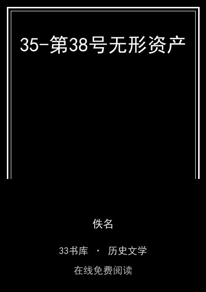 35-第38号无形资产封面