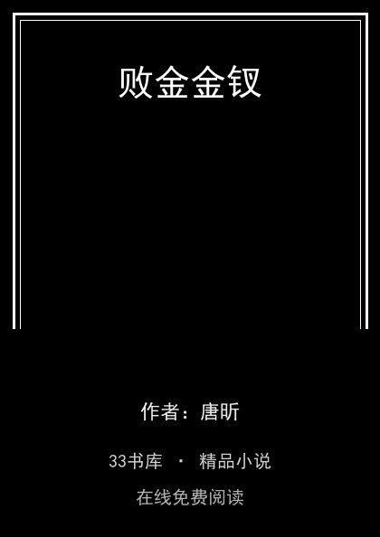 败金金钗封面