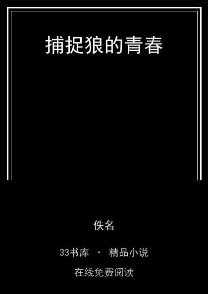 捕捉狼的青春封面