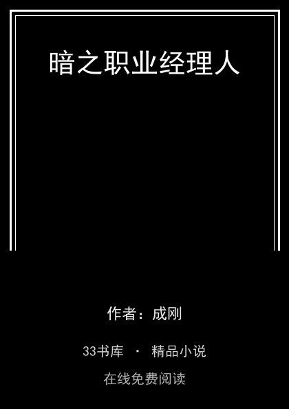 暗之职业经理人封面