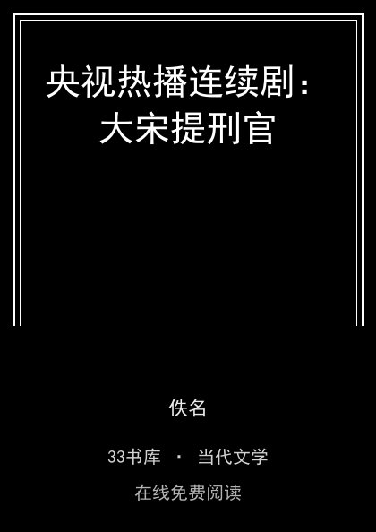 央视热播连续剧：大宋提刑官封面