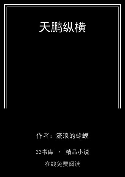 天鹏纵横封面