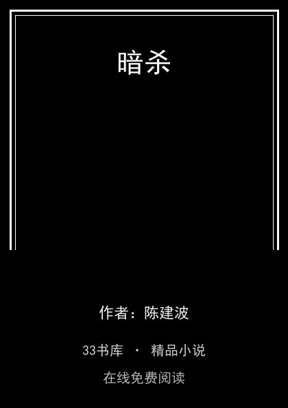 暗杀封面