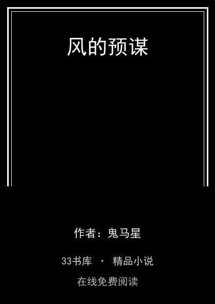 风的预谋封面