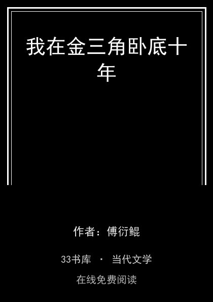 我在金三角卧底十年封面