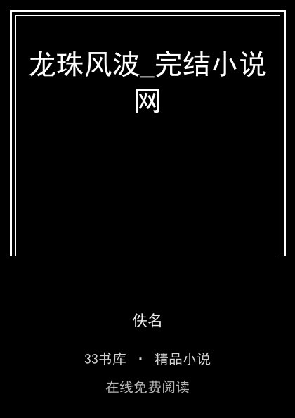 龙珠风波_完结小说网封面