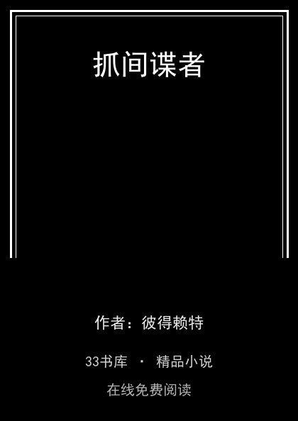 抓间谍者 封面