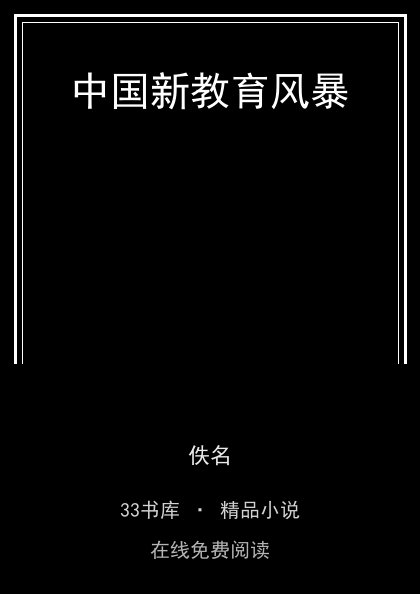中国新教育风暴 封面