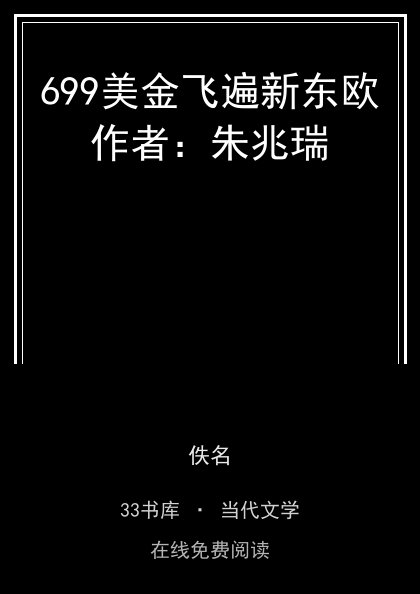 699美金飞遍新东欧作者：朱兆瑞封面