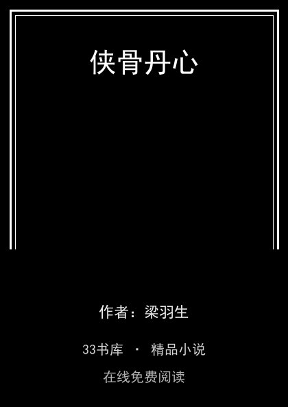 侠骨丹心封面