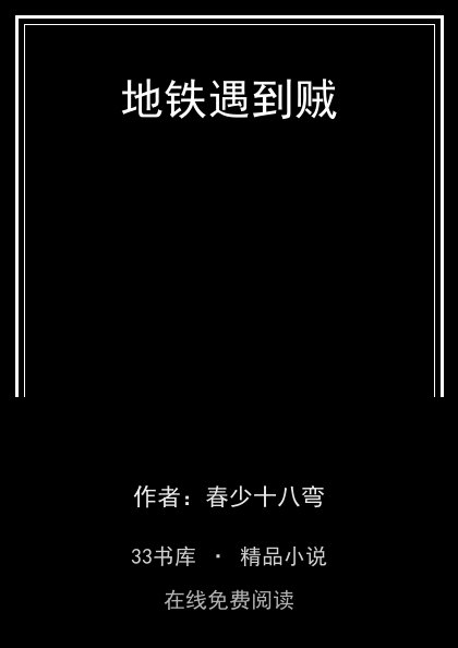 地铁遇到贼封面