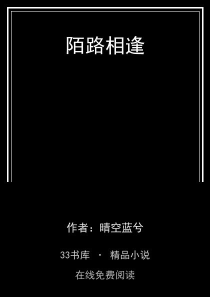 陌路相逢封面
