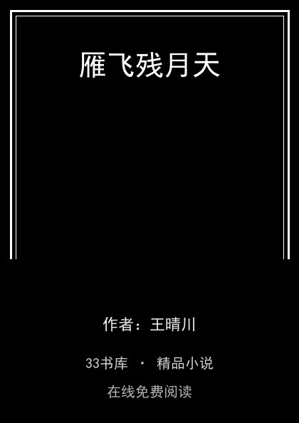 雁飞残月天封面