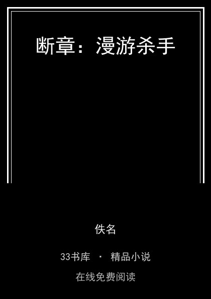 断章：漫游杀手封面