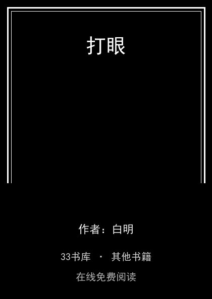 打眼封面