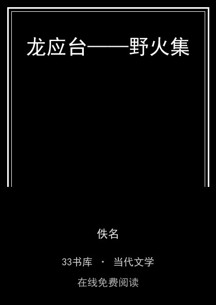 龙应台——野火集封面