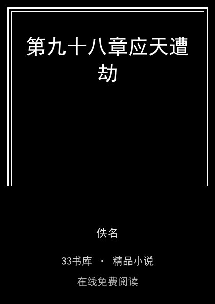 第九十八章应天遭劫封面