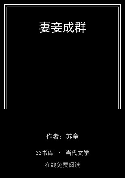 妻妾成群封面