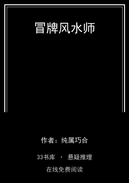 冒牌风水师封面