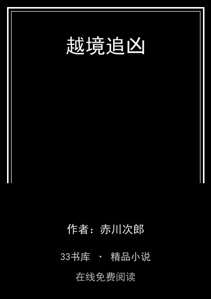 越境追凶封面