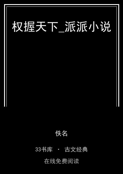 权握天下_派派小说 封面