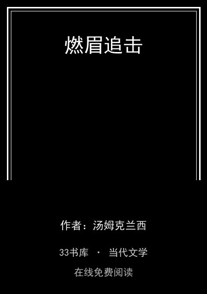 燃眉追击封面